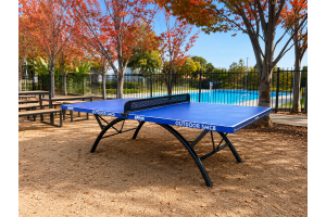 Radak Rainbow Outdoor SMC8 Premium Table Tennis Table
